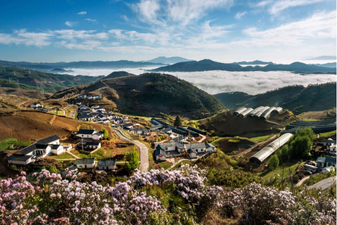 10 918博天堂·(中国区)旗舰厅电气集团科技兴农 助力凉山火普村打造数字乡村804.png